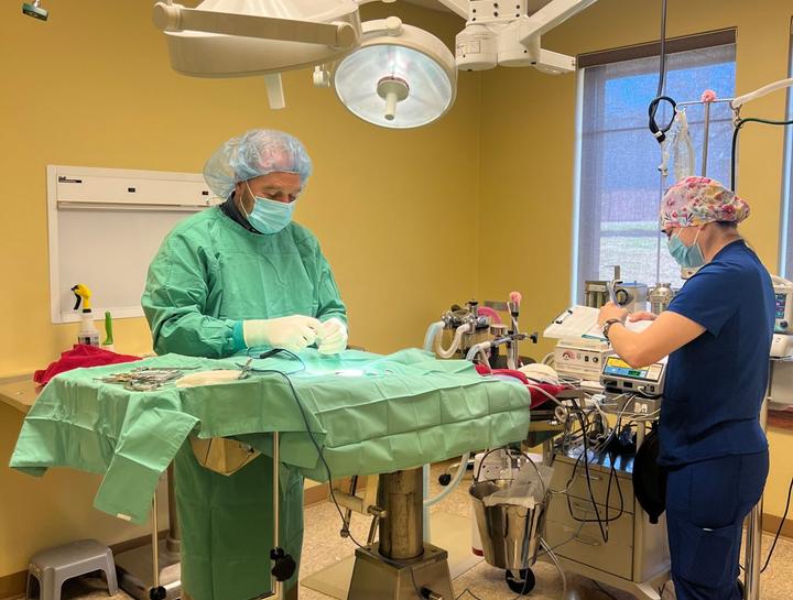 $City Veterinary Surgeries