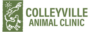 Colleyville Animal Clinic | Colleyville veterinarians