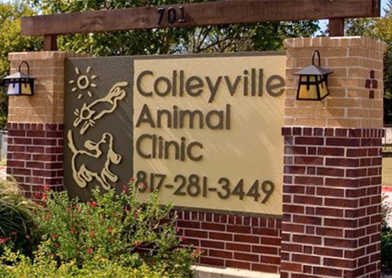 Carousel Slide 1: Colleyville Animal Clinic, Colleyville